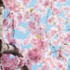 Spring: Fine Motor Skill Activities to Enjoy Outdoors